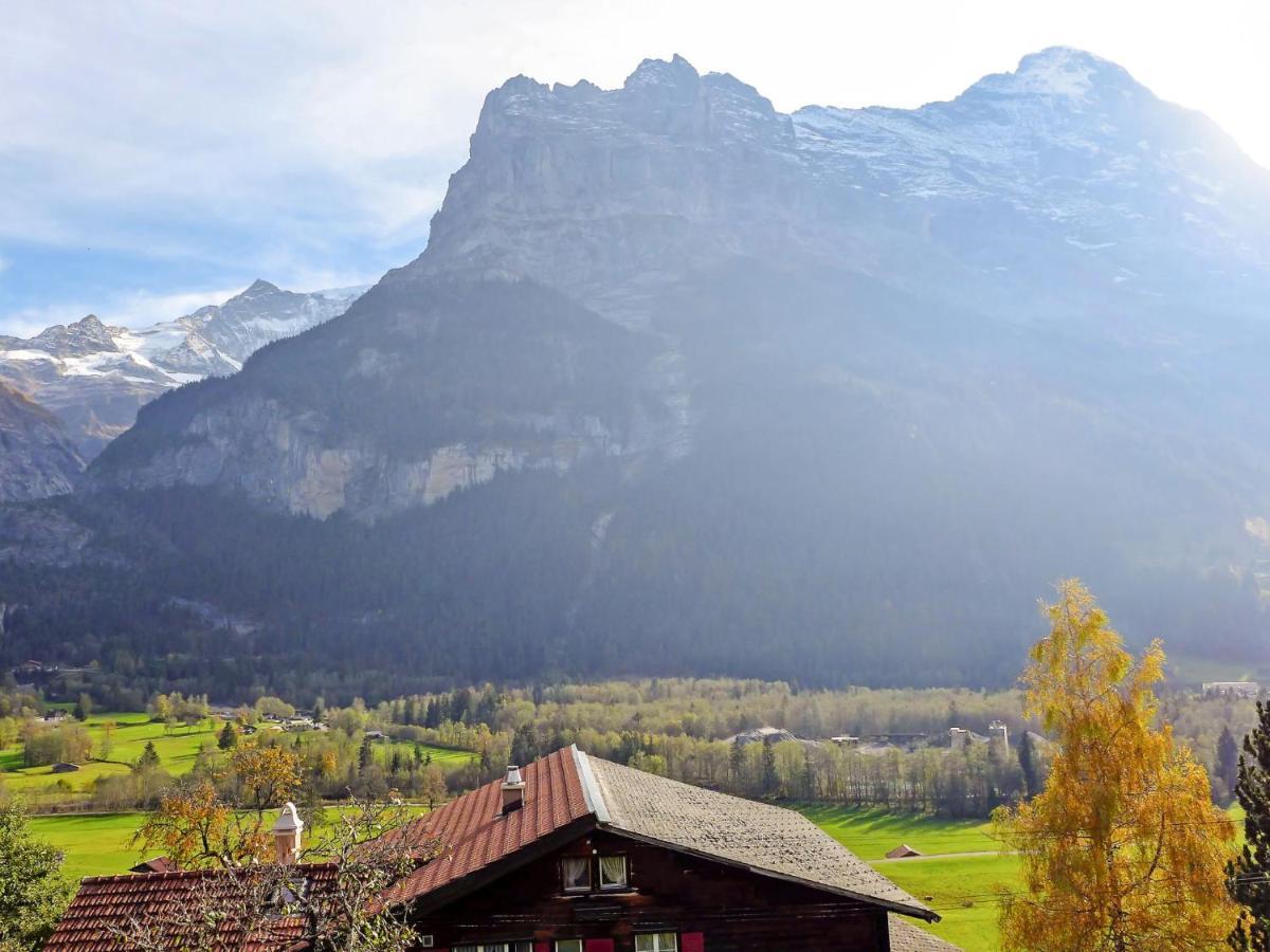 Holiday Home Chalet Ahornen By Interhome Grindelwald Exterior photo